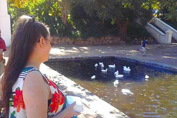 Donna Darkwolf admiring HER ducks