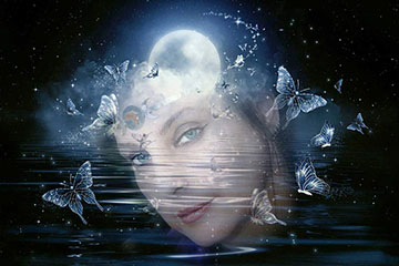 Donna Darkwolf Dreams Butterflies